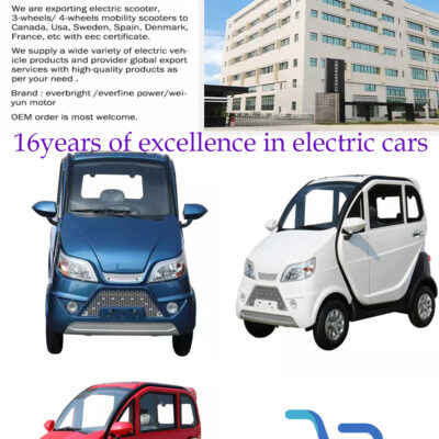 Chinese EV Mini Electric Car  Cheap 1500w Motor For Adult