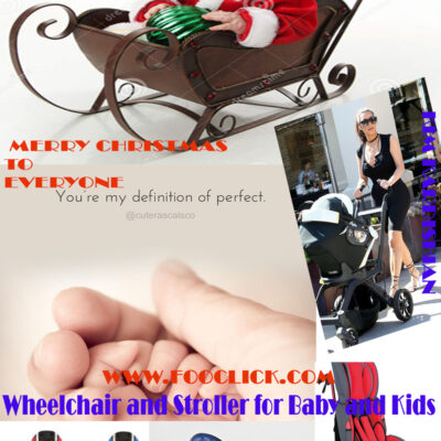 New Design Good Quality Wheelchair and Stroller for Baby and Kids