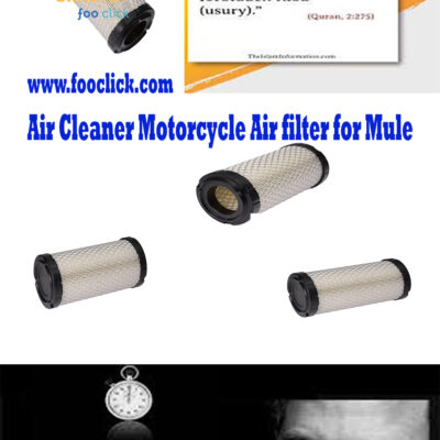 Air Cleaner Motorcycle Air filter for Mule
