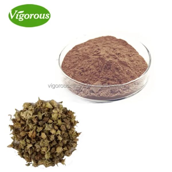 High Quality Tribulus Terrestris Herbal Health Extract Powder For Family - Image 3